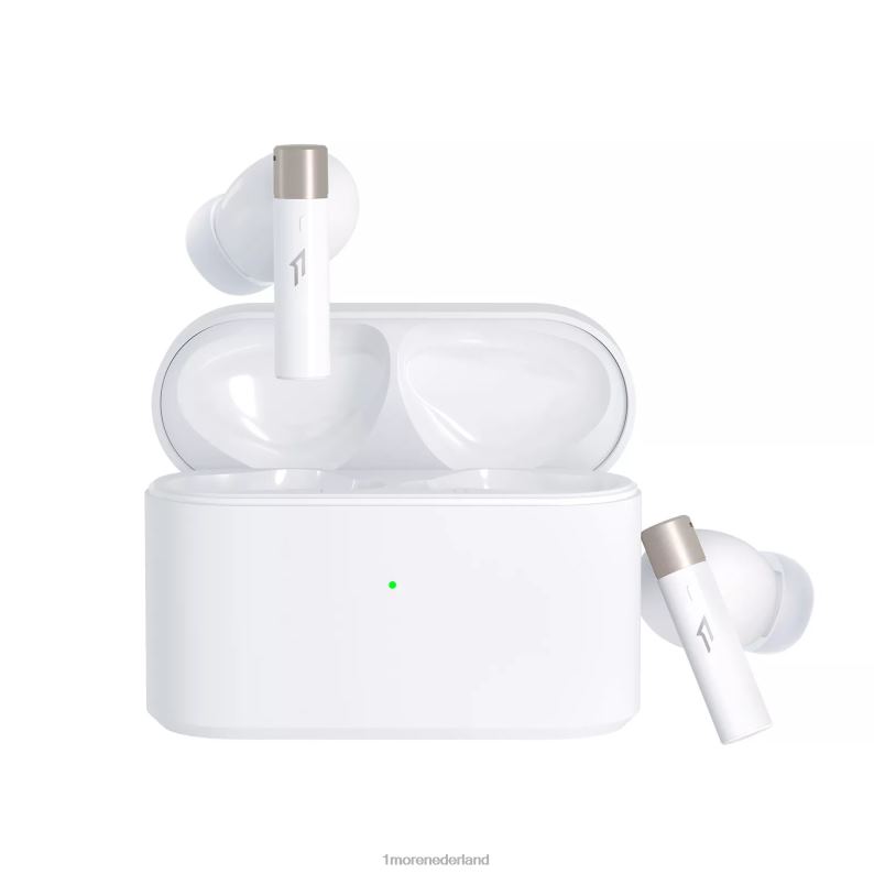 zuigerknoppen pro q30 zwart oordopjes 8XJ0D19 1MORE